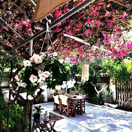 Apartments Athina אוריקום מראה חיצוני תמונה